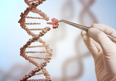 Medical illustration of a scientist replacing part of a DNA molecule with tweezers, representing genome editing.